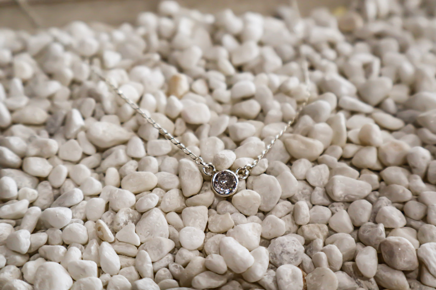 Dainty Single Necklace