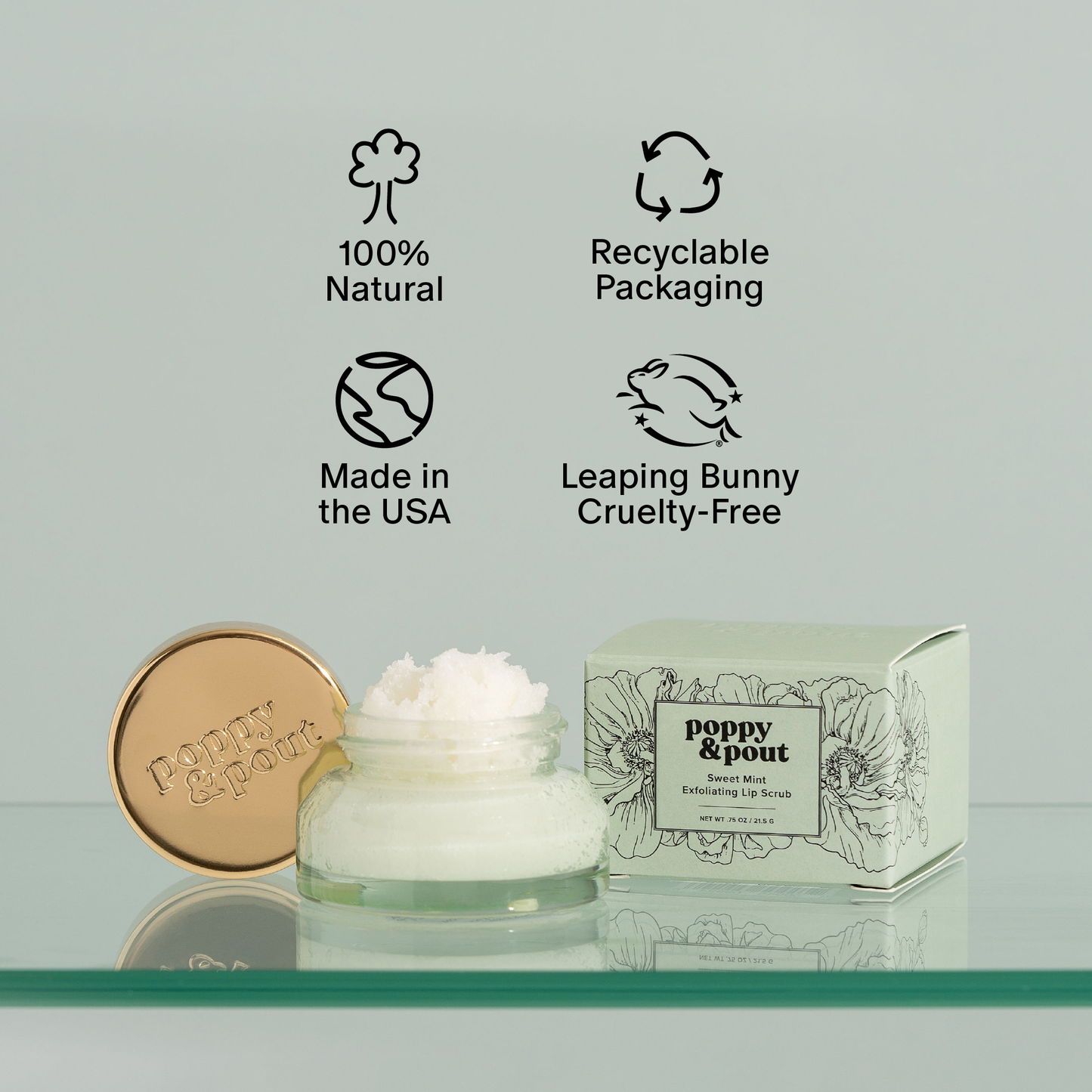 Poppy & Pout Lip Scrub Sweet Mint
