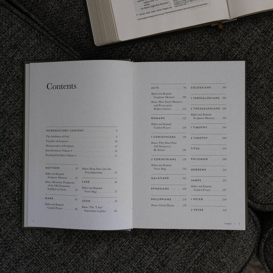 A Year in the Bible | Men's Study | Volume 4