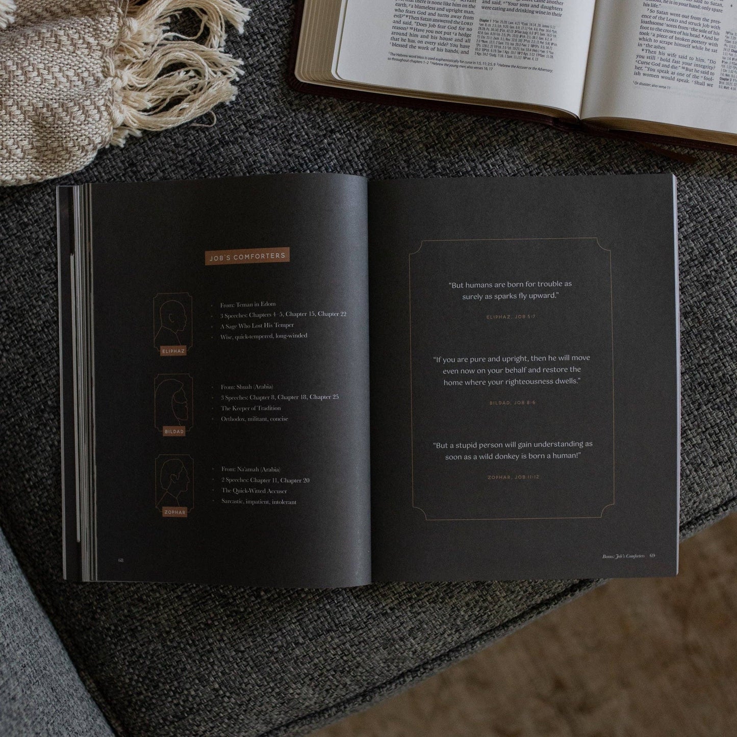 Job | Holding to Hope When Life Falls Apart - Men