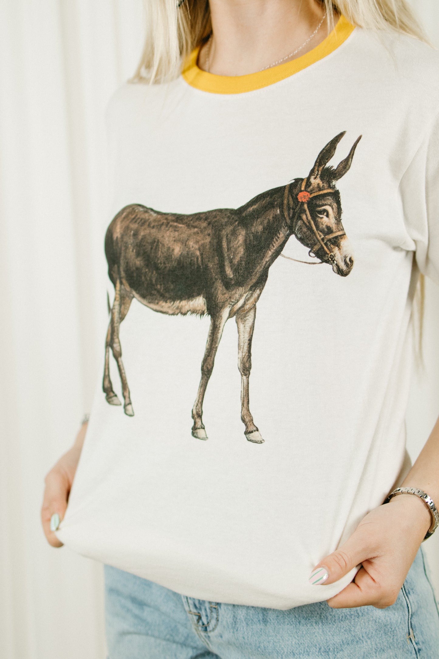 Vintage Donkey