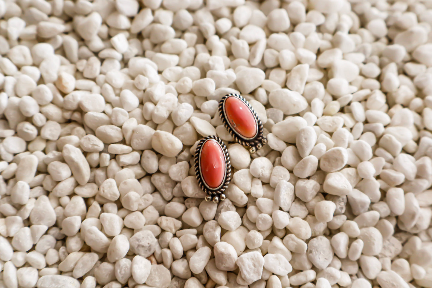 Skinny Oval Pink Conch Studs