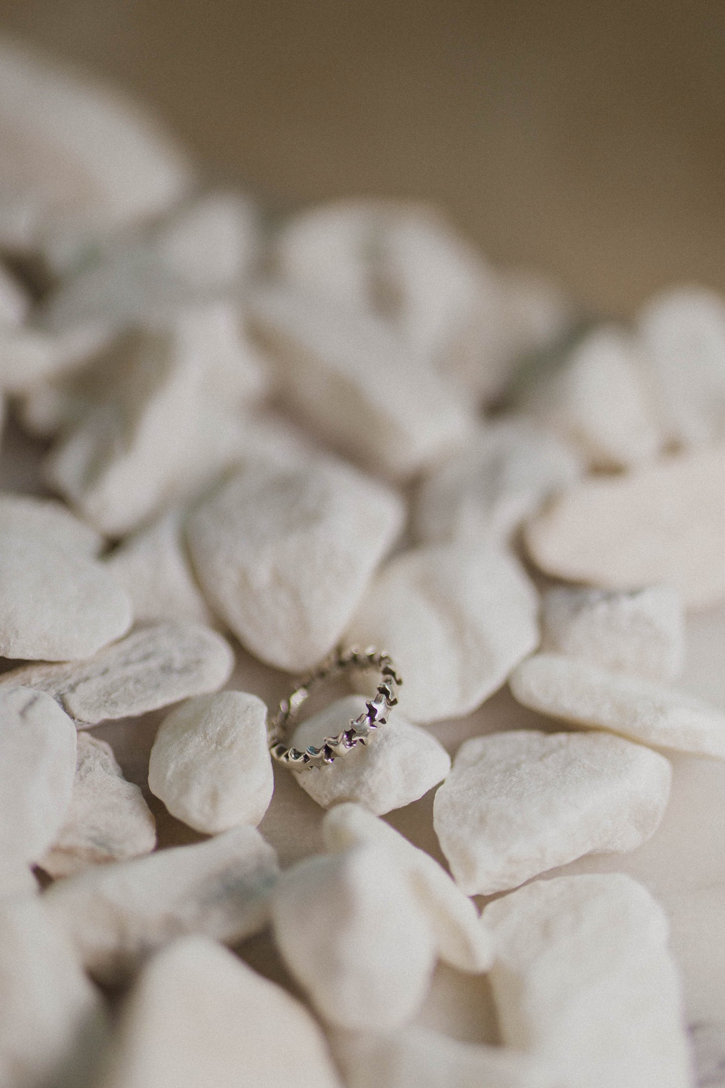 T537 image 0