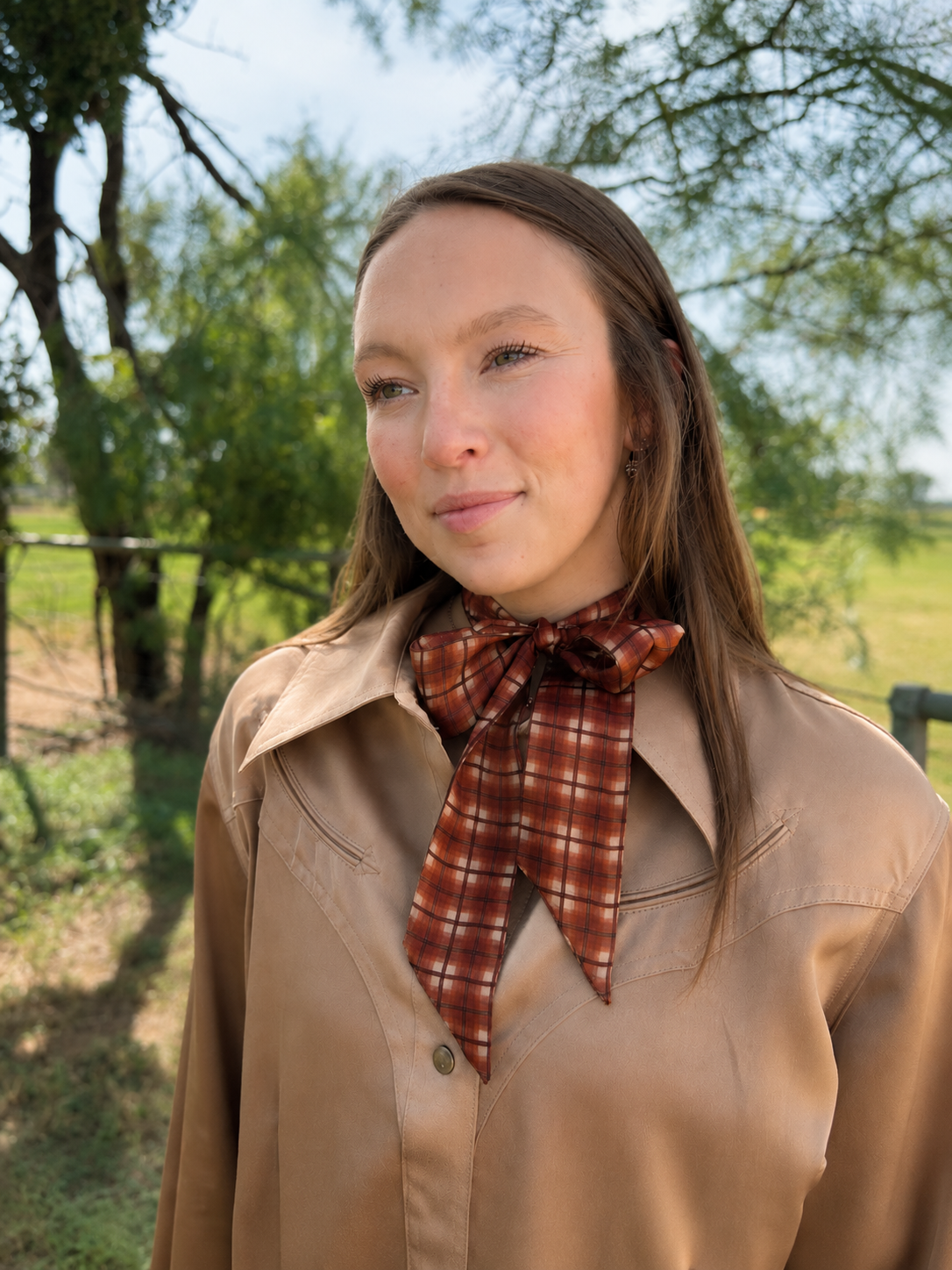 Classic Brown Plaid Twilly