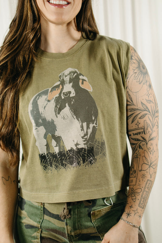 The Brahma Bull