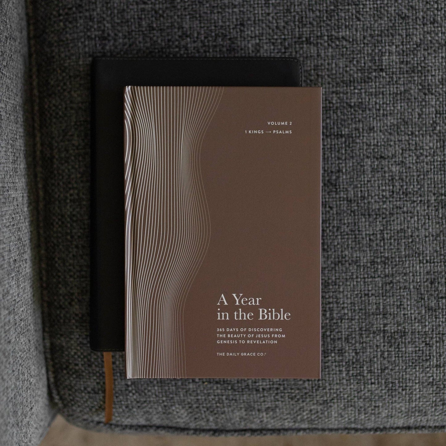 A Year in the Bible | Men's Study | Volume 2