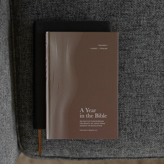 A Year in the Bible | Men's Study | Volume 2