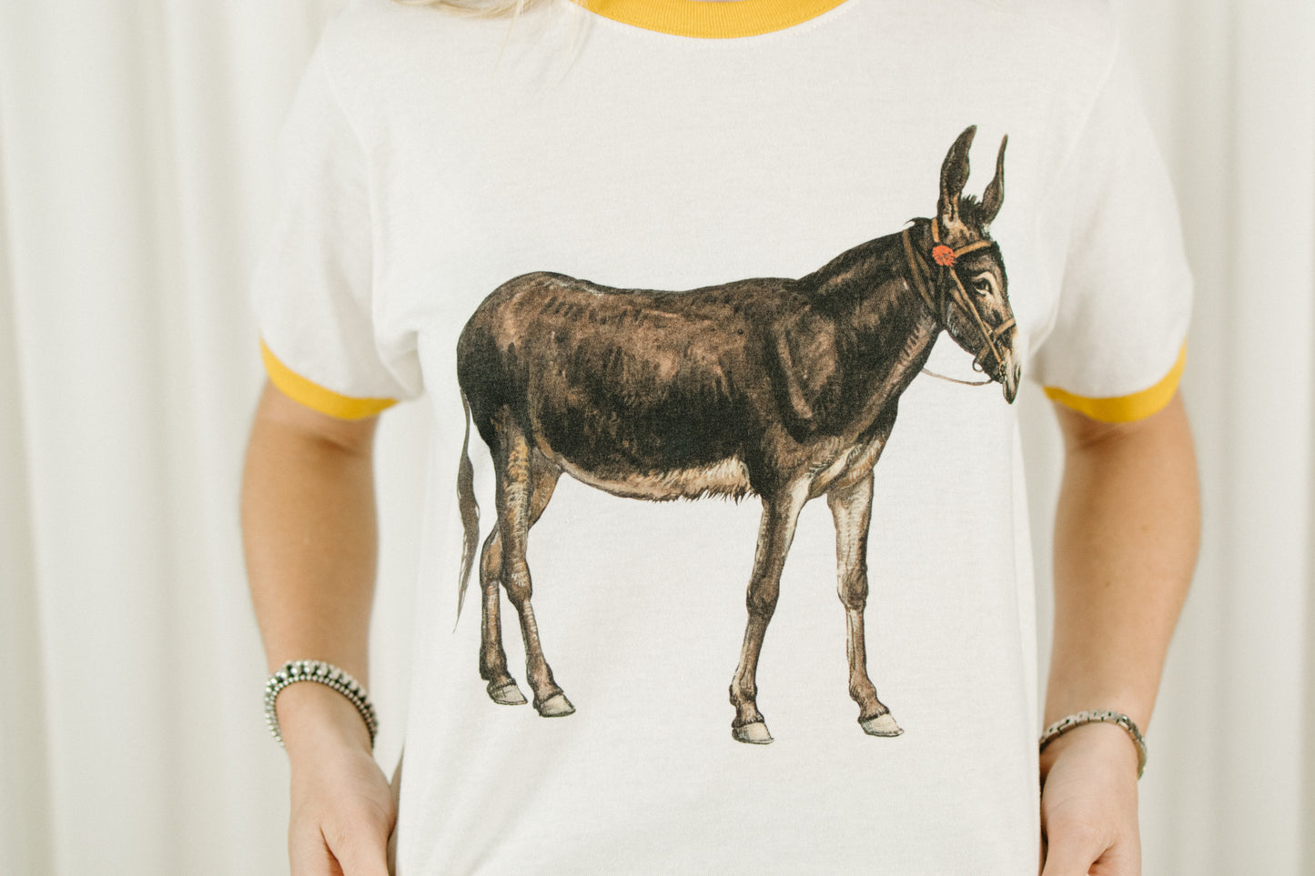 Vintage Donkey