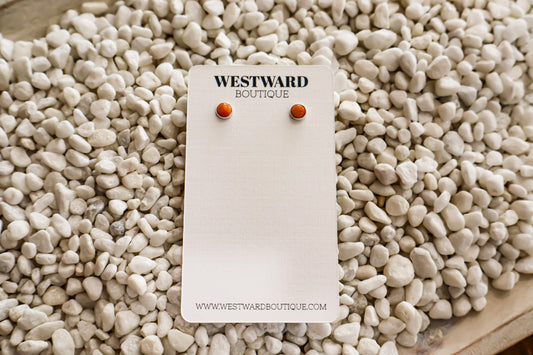 Small Spiny Oyster Studs