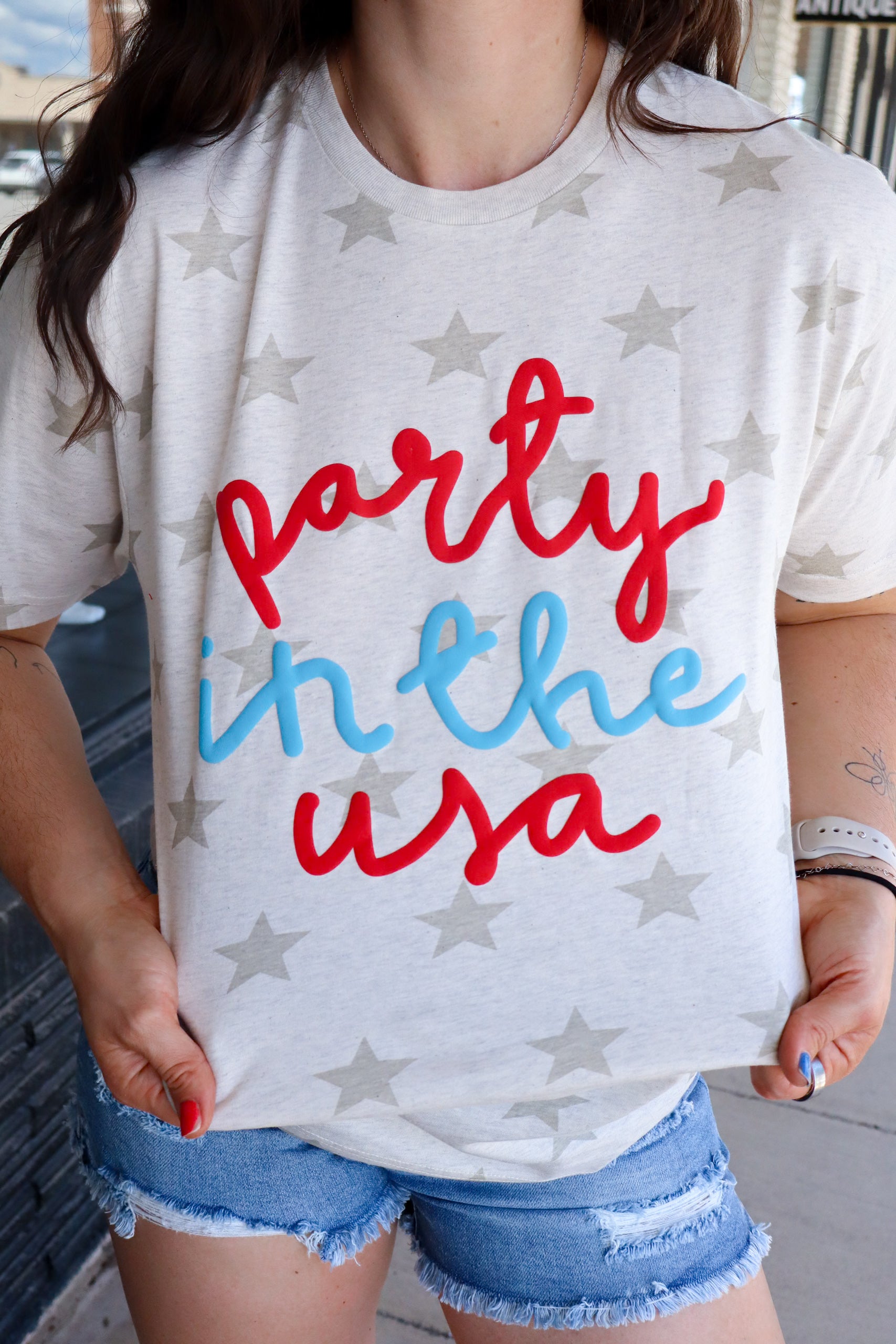 Party In The USA image 1