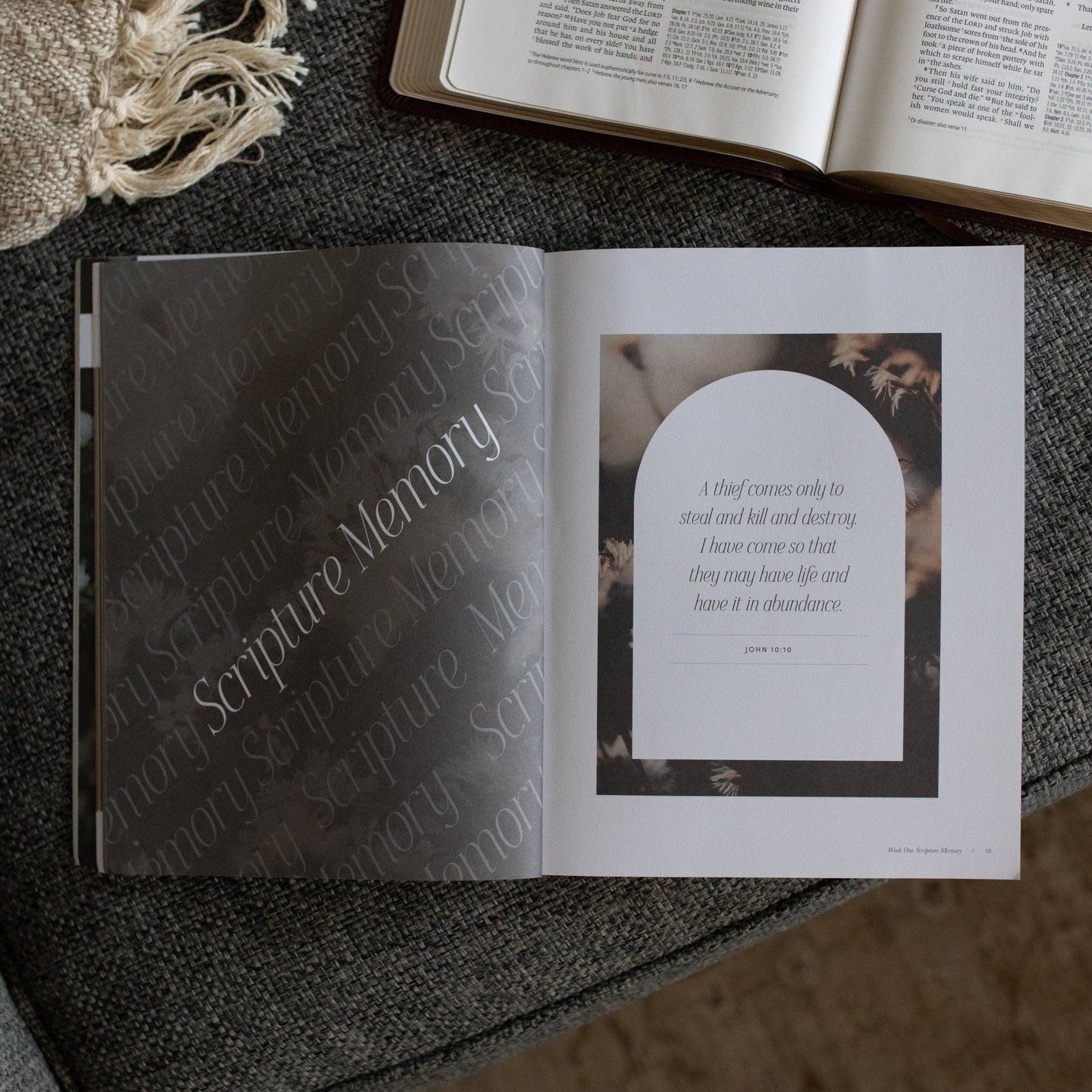 Job | Holding to Hope When Life Falls Apart