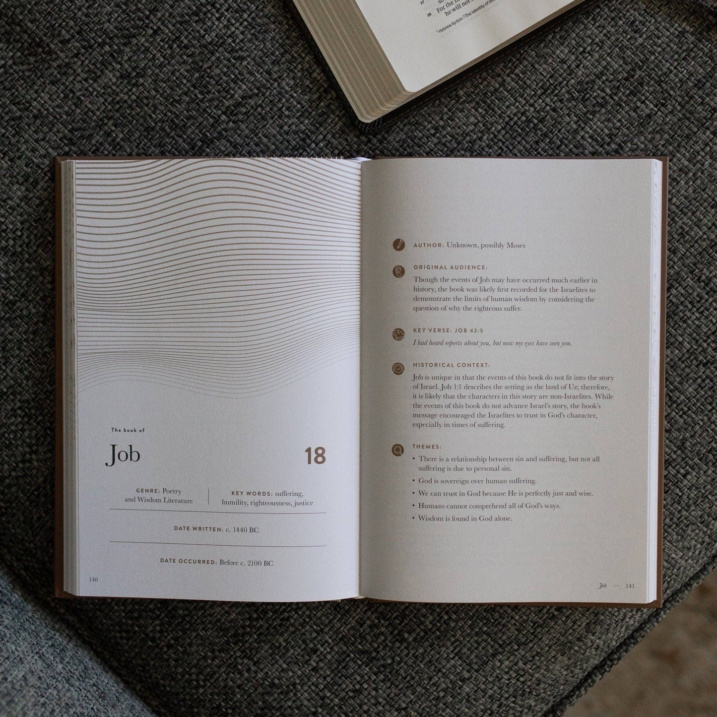 A Year in the Bible | Men's Study | Volume 2