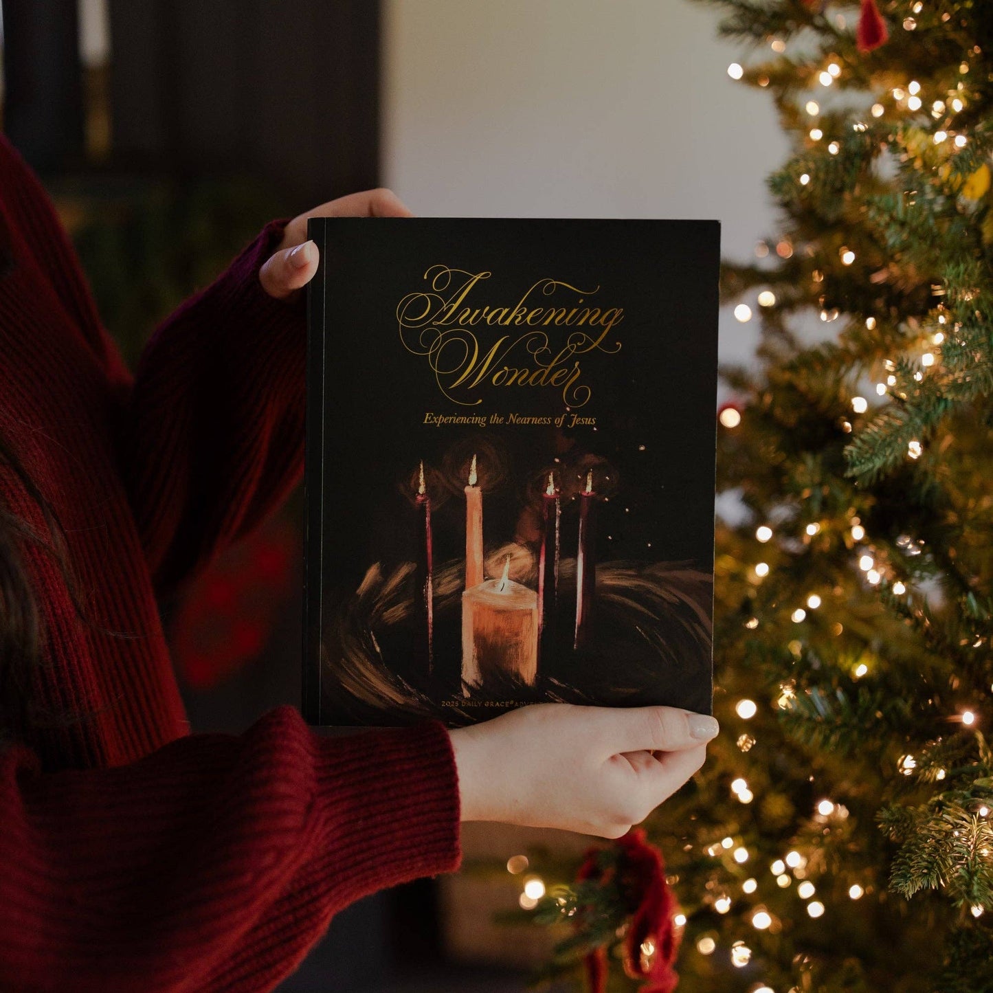 Awakening Wonder | Experiencing the Nearness of Jesus | 2025 Daily Grace Advent Study