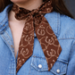 Brown Horseshoe & Rope Silk Twilly