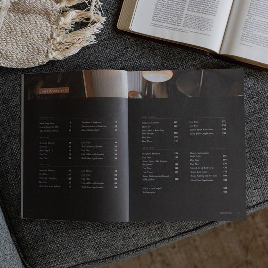 Job | Holding to Hope When Life Falls Apart - Men