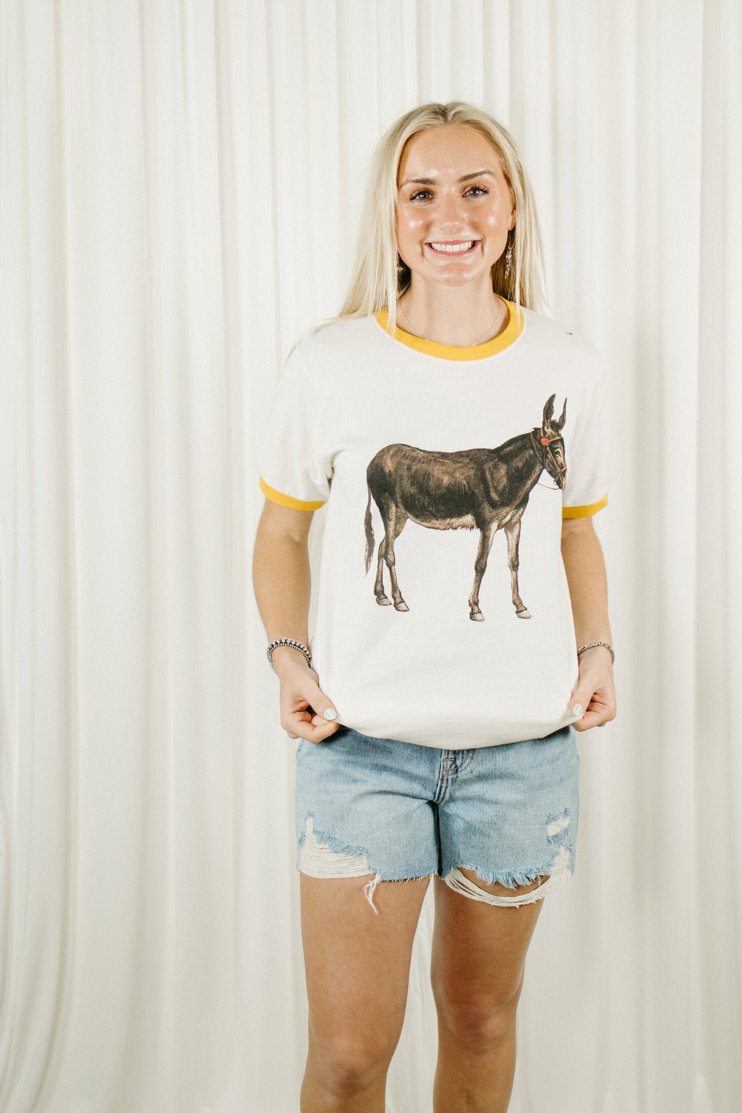 Vintage Donkey