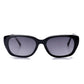 DAX Eyewear Women's