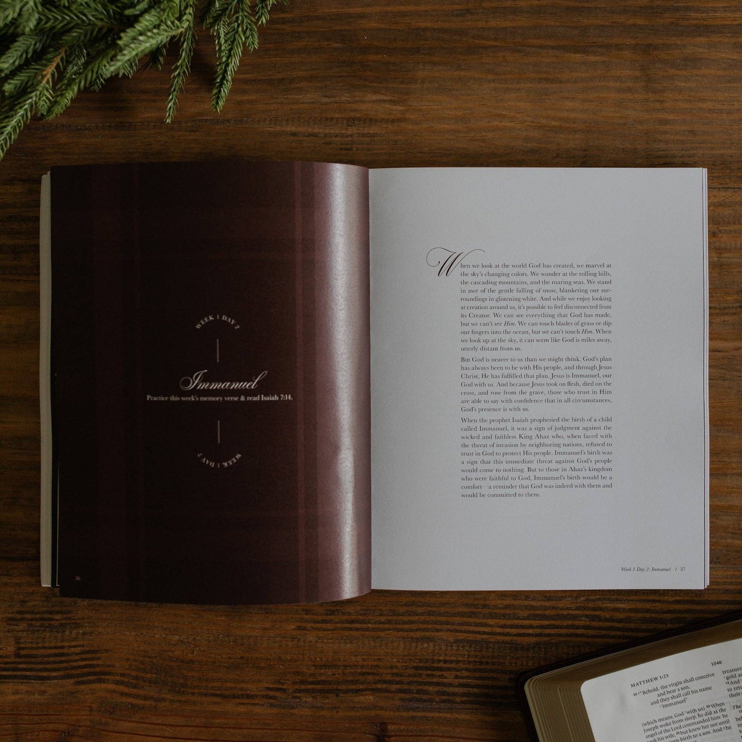 Awakening Wonder | Experiencing the Nearness of Jesus | 2025 Daily Grace Advent Study