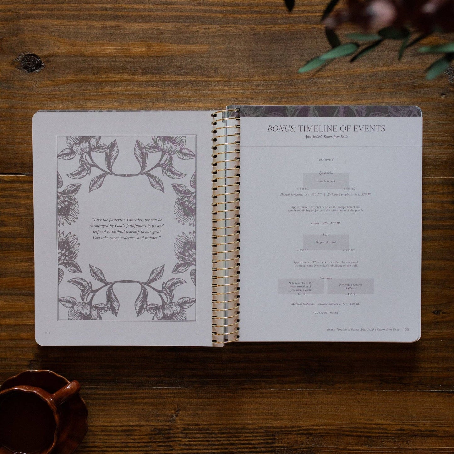 A Year in the Bible | Volume 2