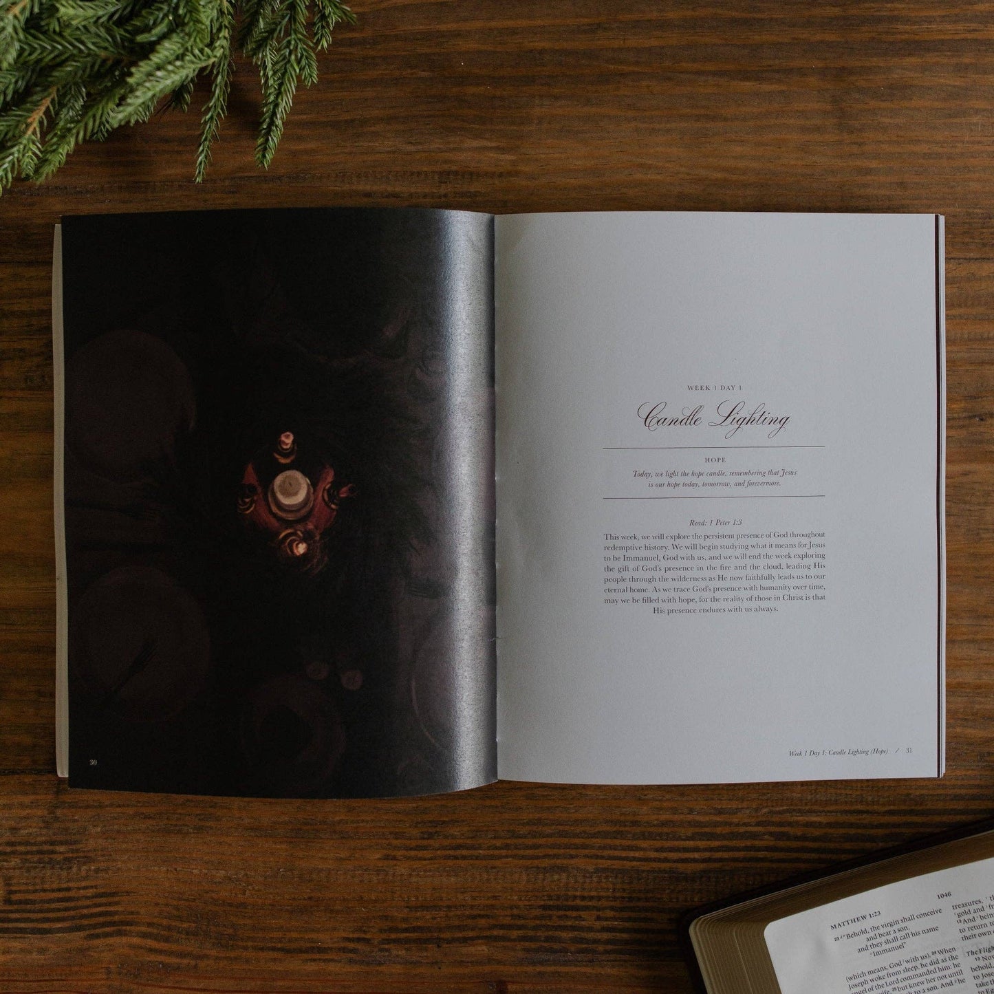 Awakening Wonder | Experiencing the Nearness of Jesus | 2025 Daily Grace Advent Study